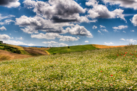 524484 (a): :2560x1700
